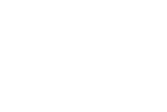 Ecomobi Brasil